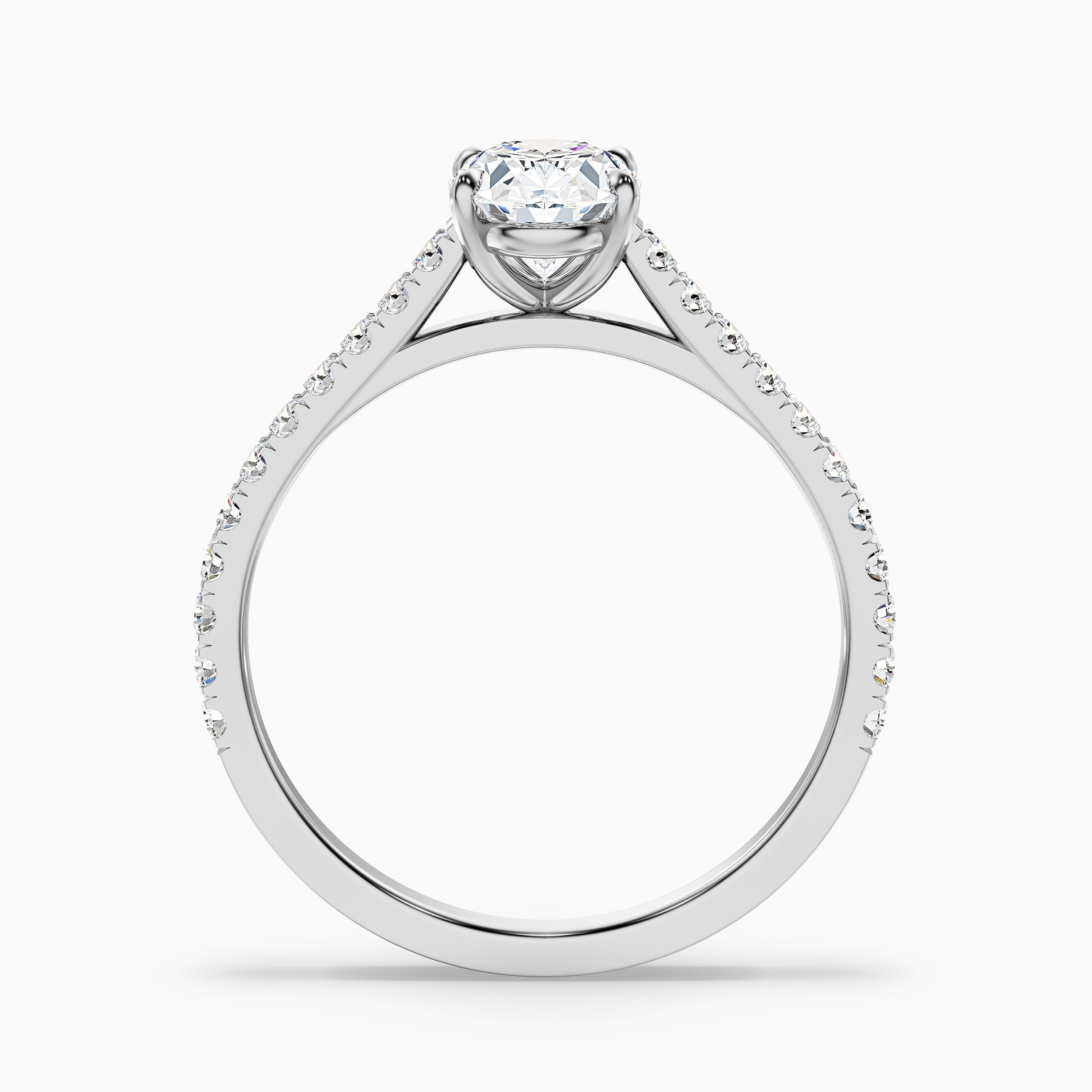Adelaide Oval Side Stone Moissanite Engagement Ring