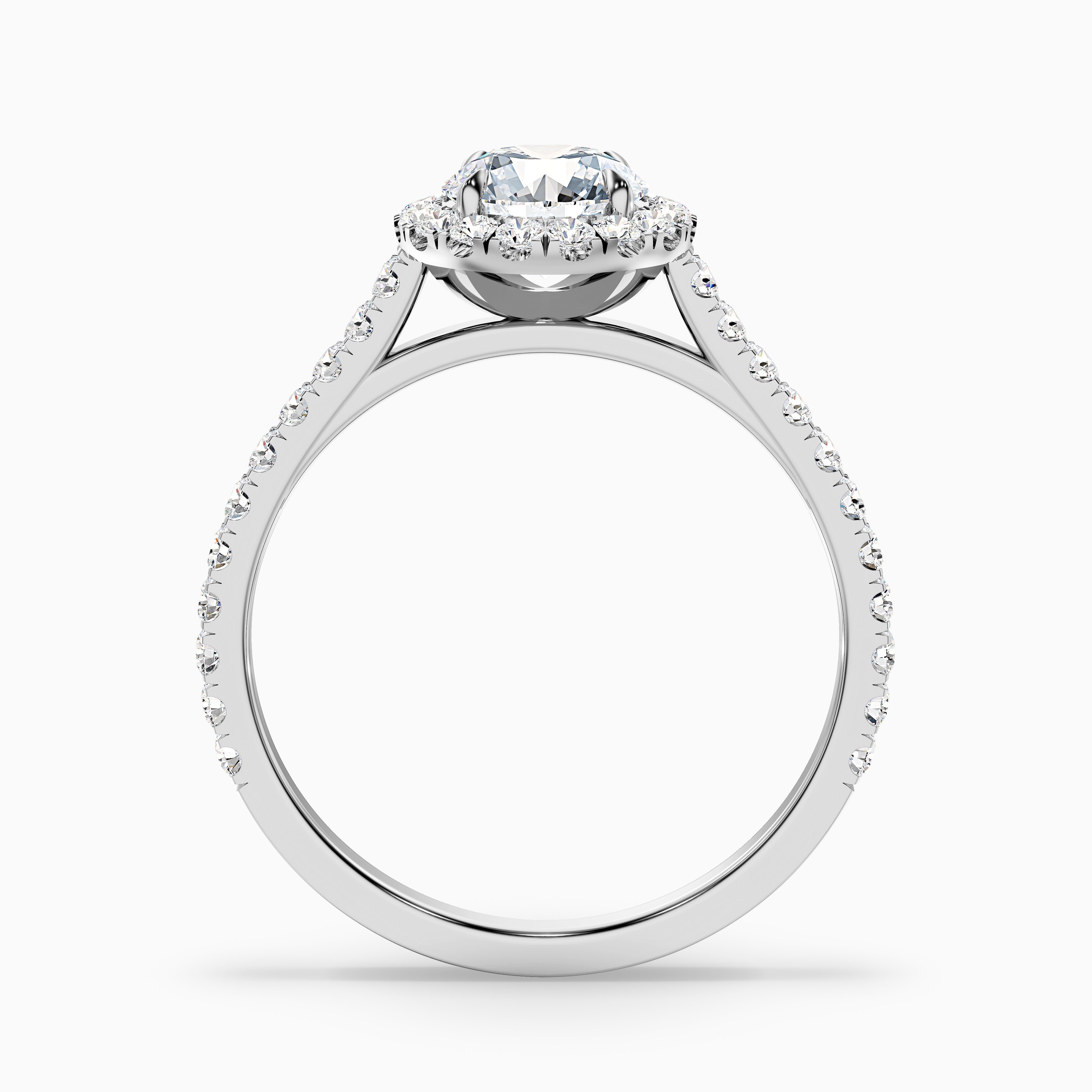 Brianna Round Pave Halo Moissanite Ring