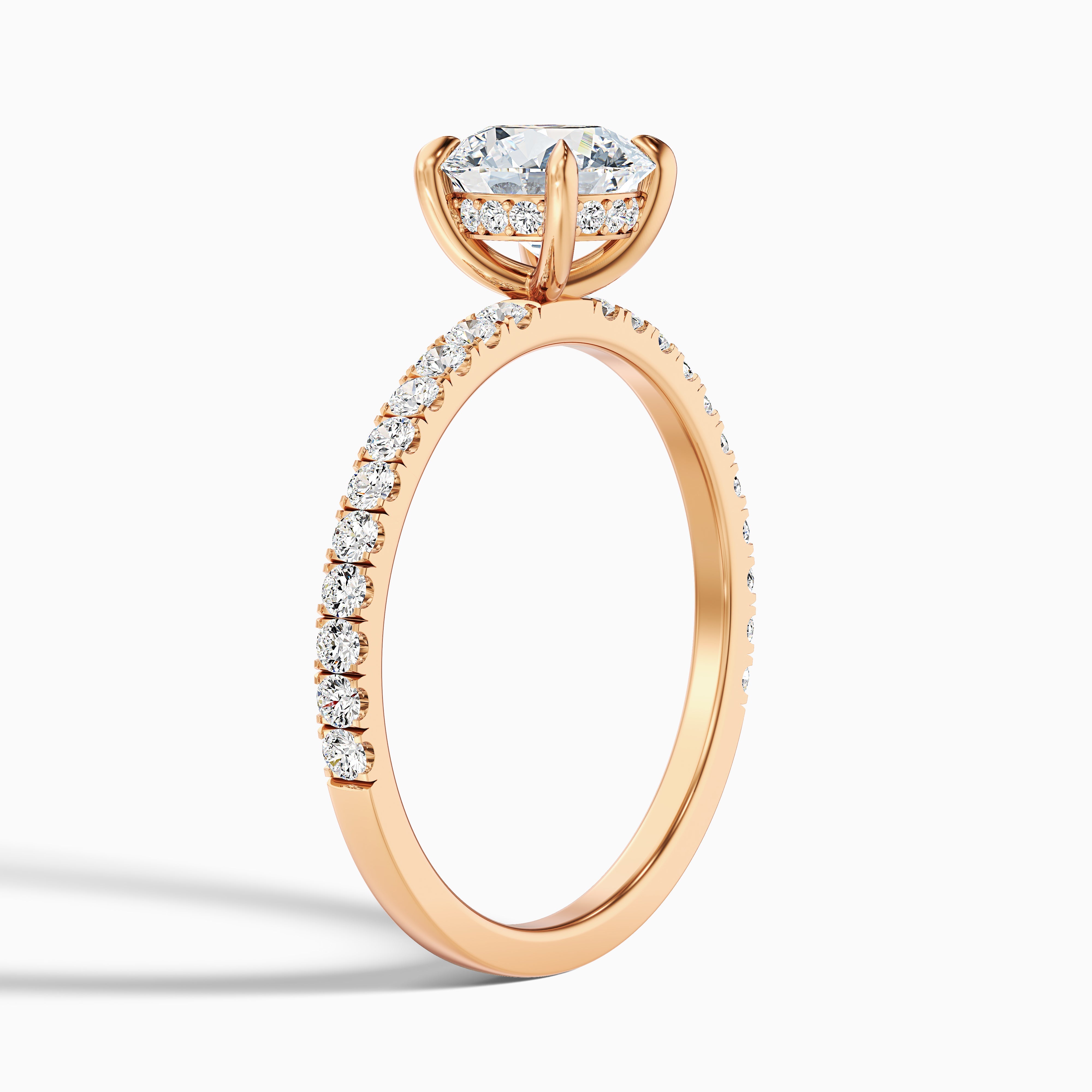 Fabianna Round Hidden Halo Moissanite Ring