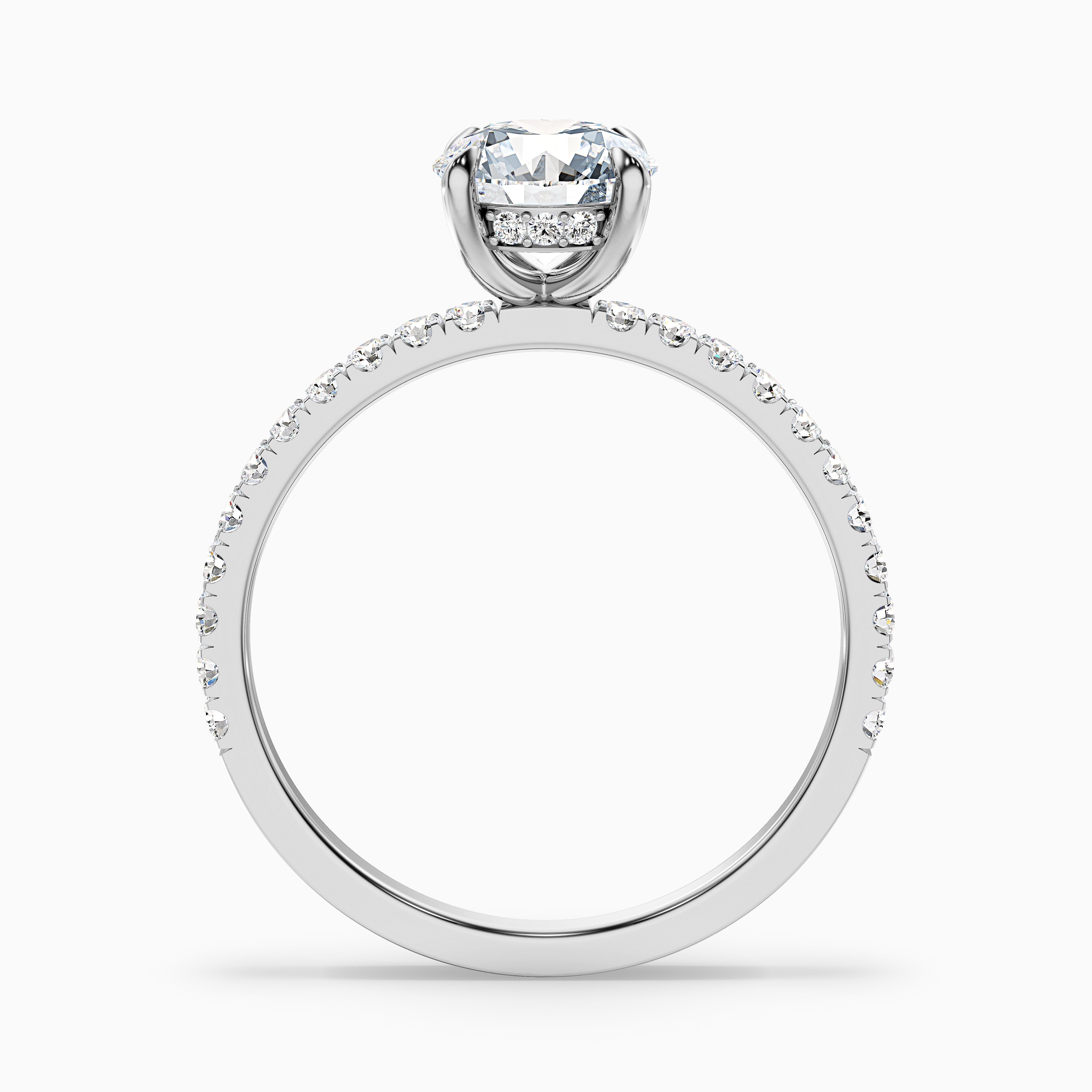 Fabianna Round Hidden Halo Moissanite Ring