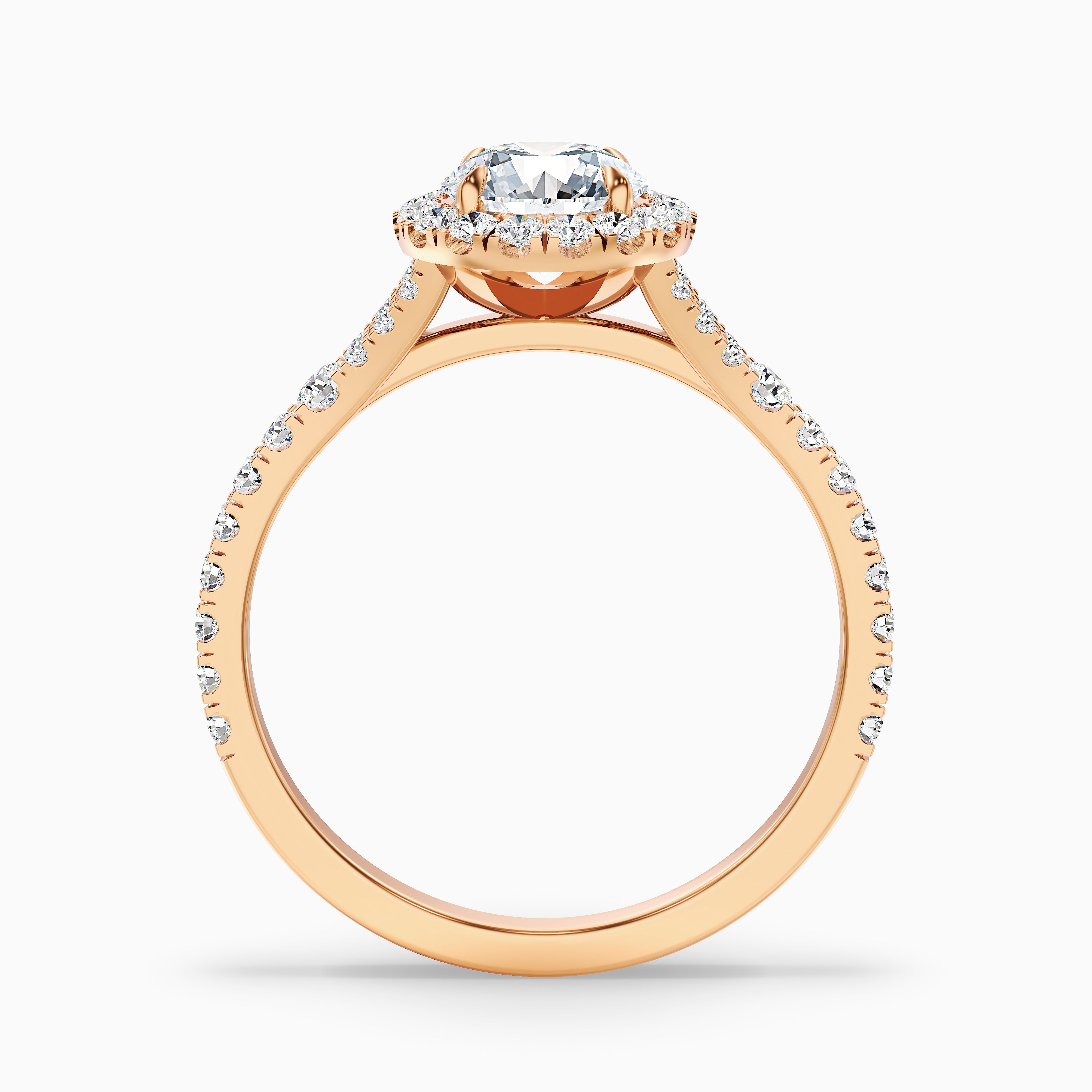 Katerina Round Cut Halo Split Shank Moissanite Ring