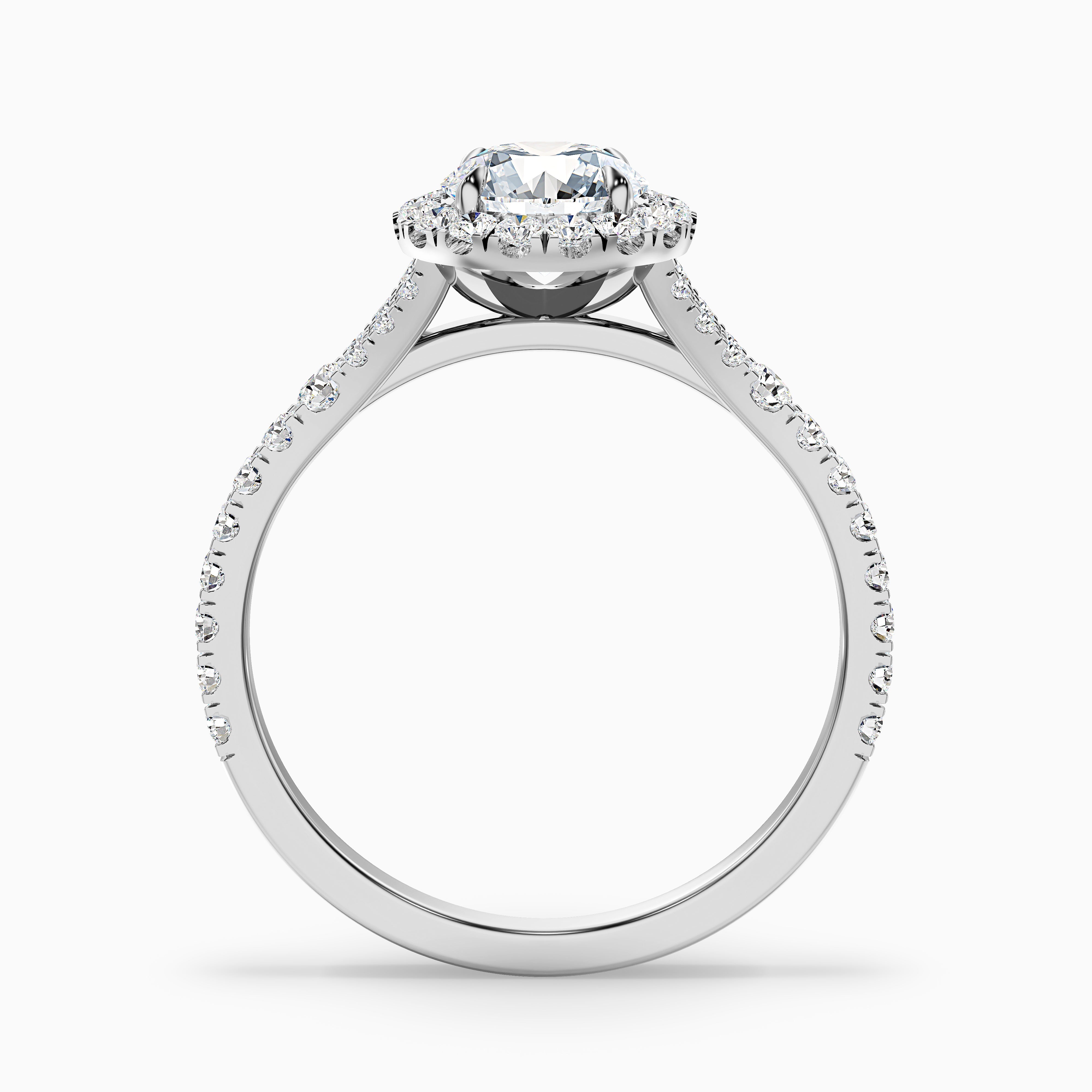 Katerina Round Cut Halo Split Shank Moissanite Ring