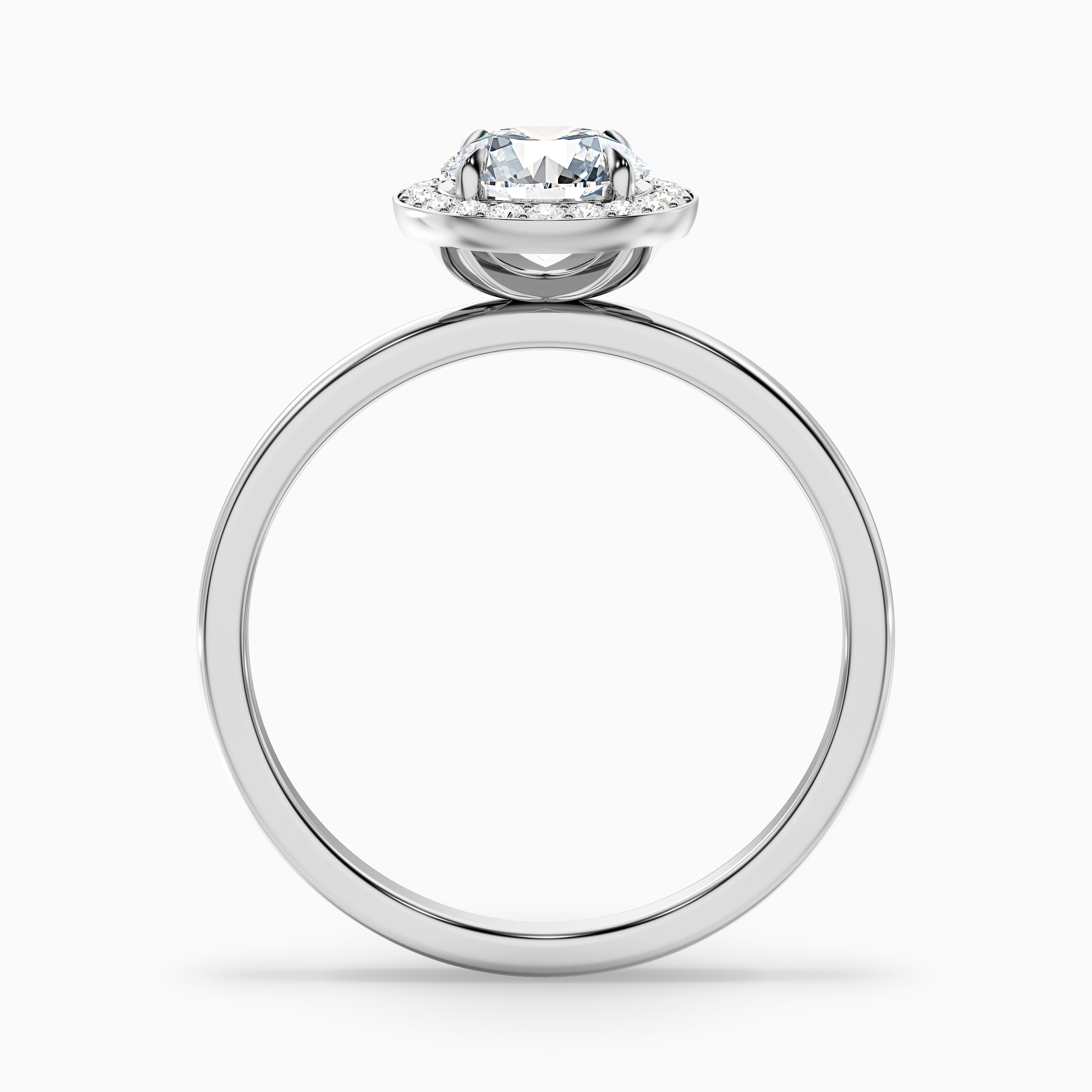 Margaret Round Cut Halo Moissanite Ring