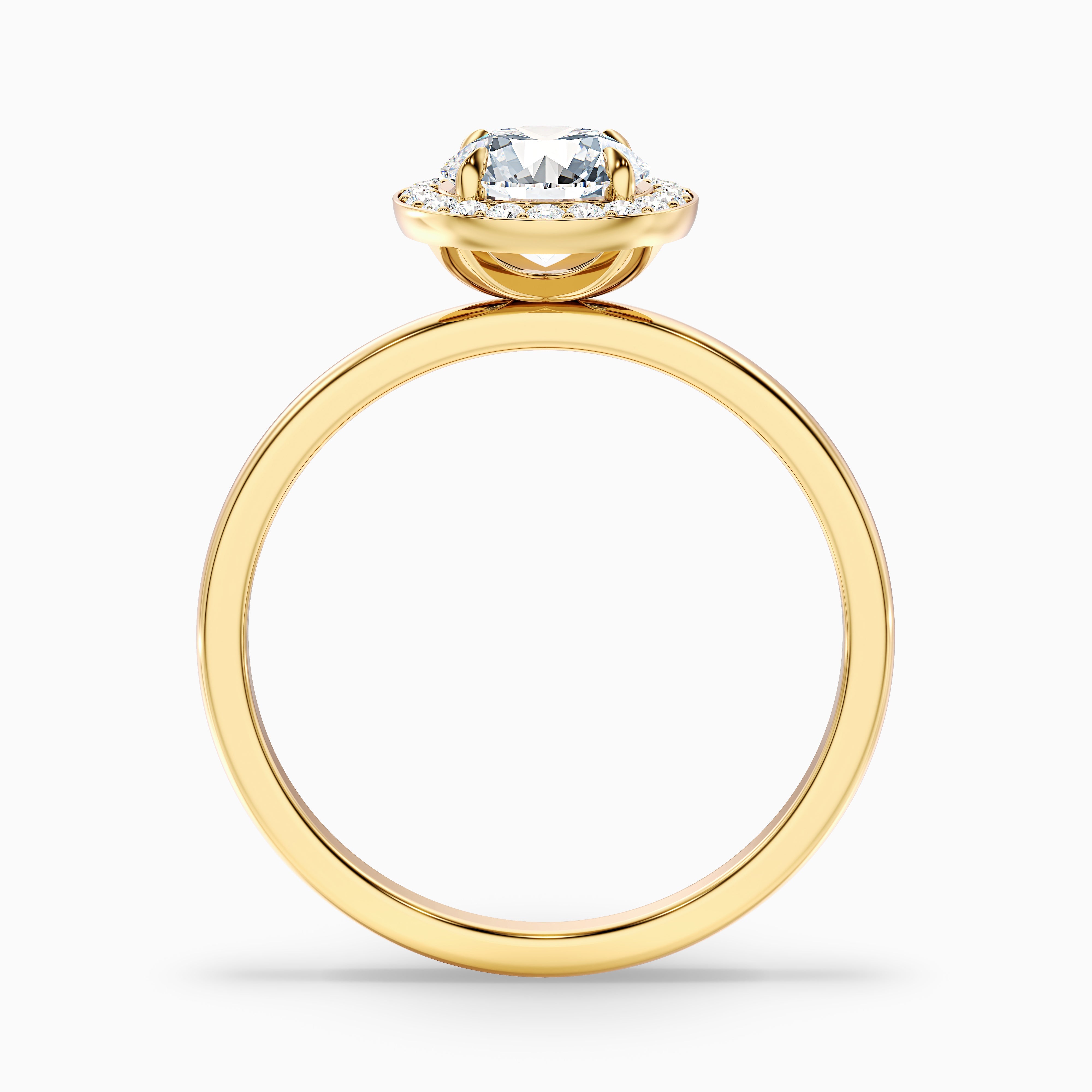 Margaret Round Cut Halo Moissanite Ring
