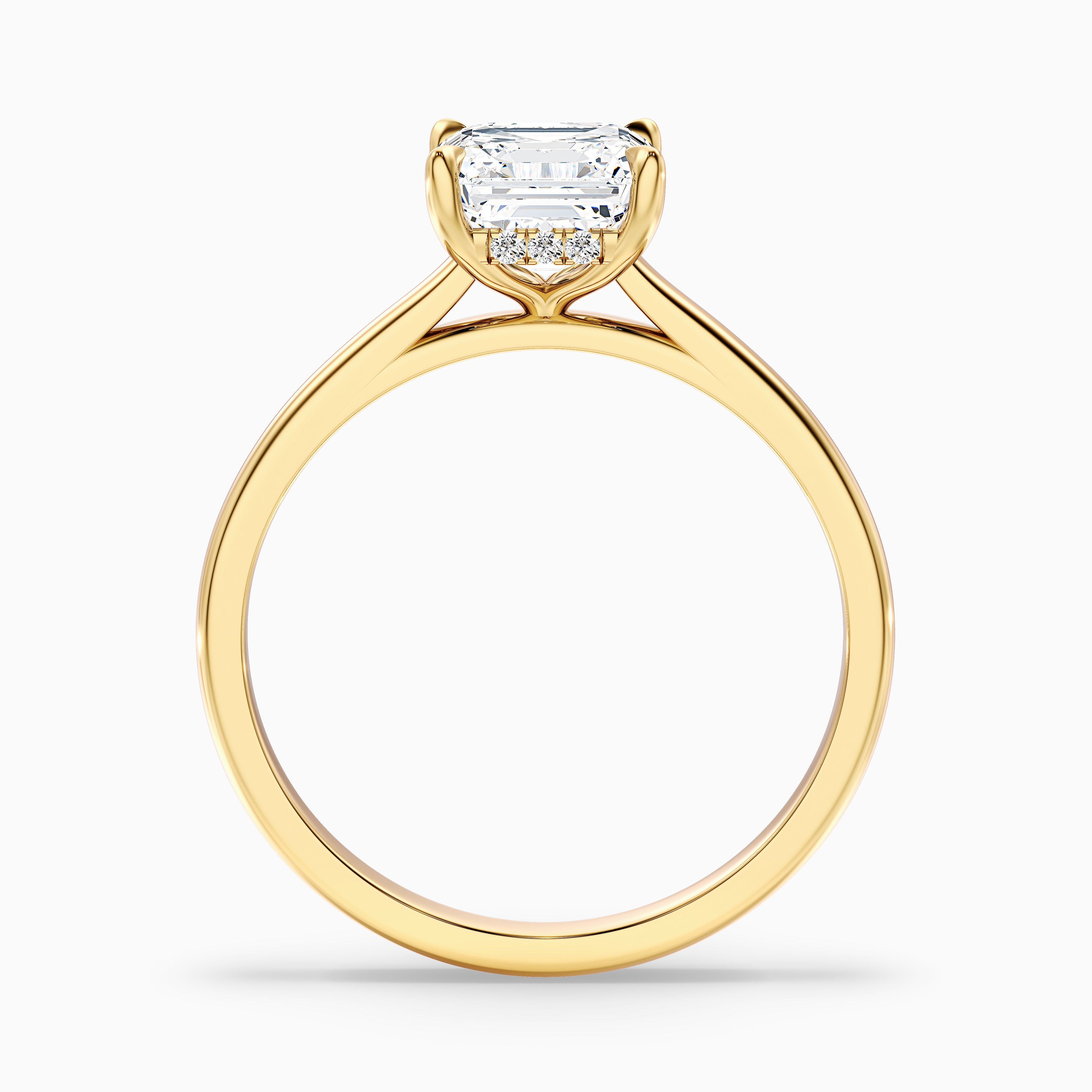 Irelyn Asscher Cut Hidden Halo Moissanite Diamond Ring
