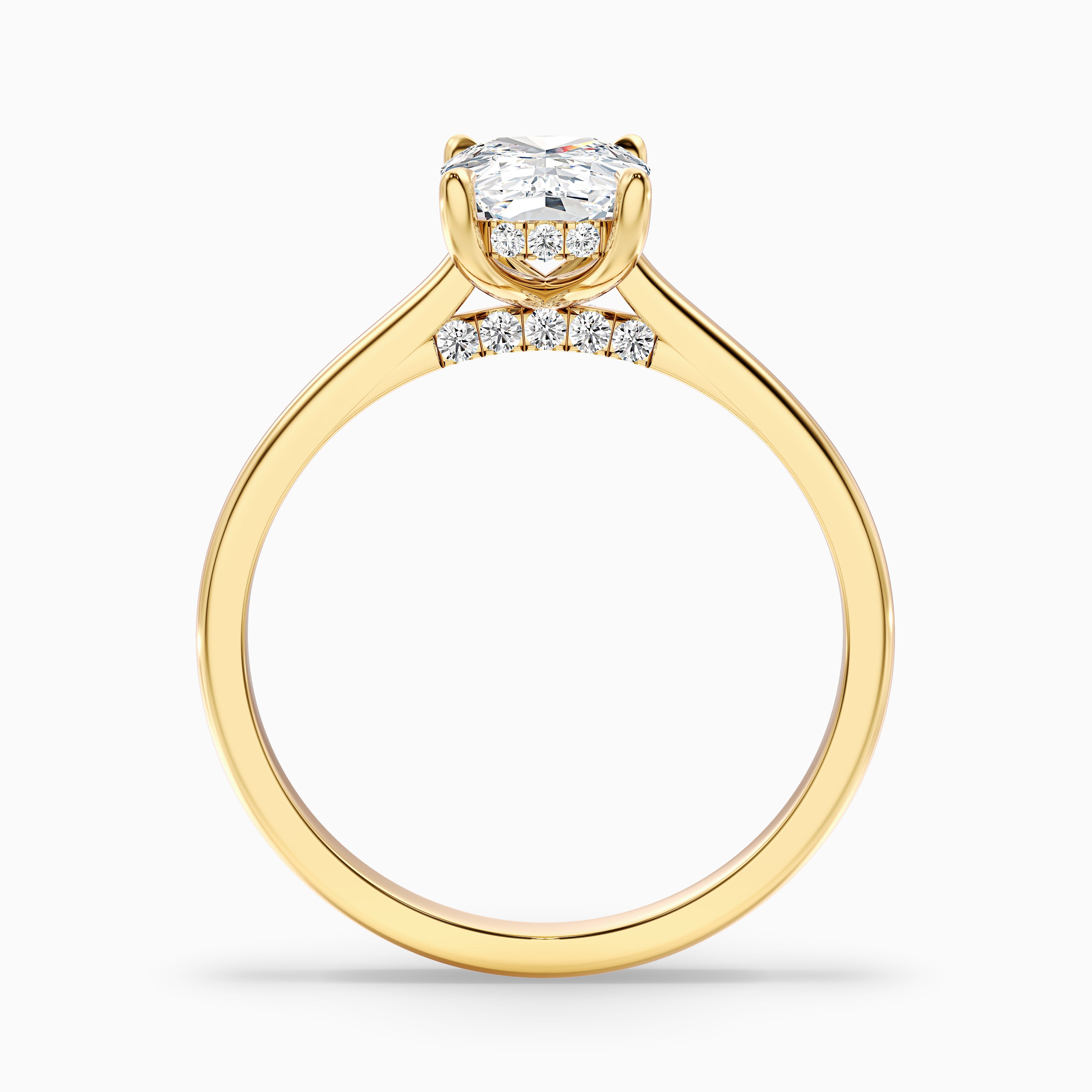 Eliana Elongated Cushion Cut Hidden Halo Moissanite Diamond Ring